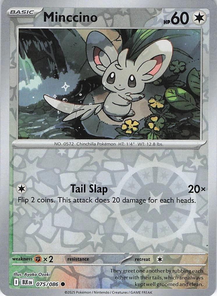 Black Bolt Minccino [Reverse] Pokémon card